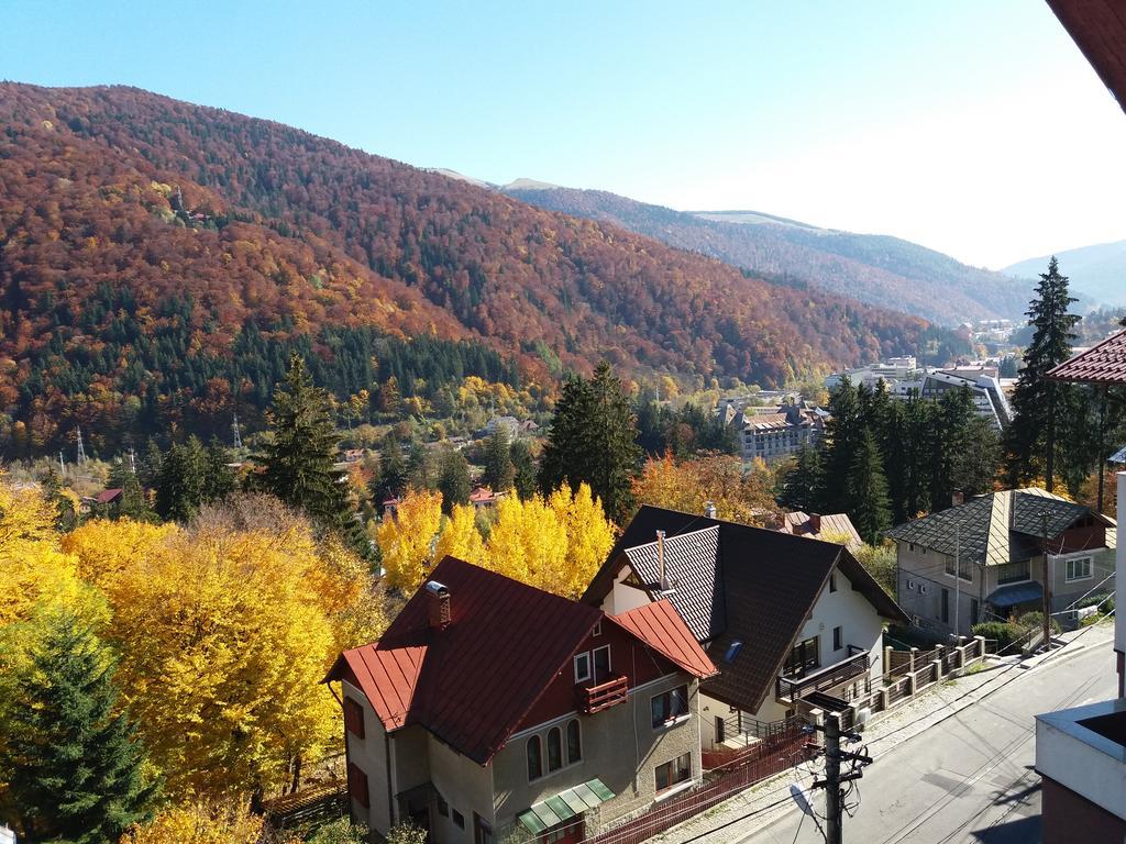 Vila Gabriel Синая Экстерьер фото